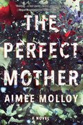 Cover image for Perfect Mother