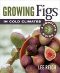 Cover image for Growing Figs in Cold Climates