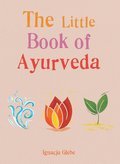 Cover image for Little Book of Ayurveda