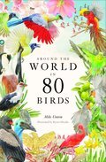 Cover image for Around the World in 80 Birds