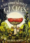 Cover image for Hidden World of Gnomes