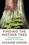 Cover image for Finding the Mother Tree