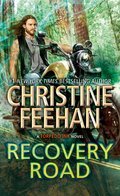 Cover image for Recovery Road