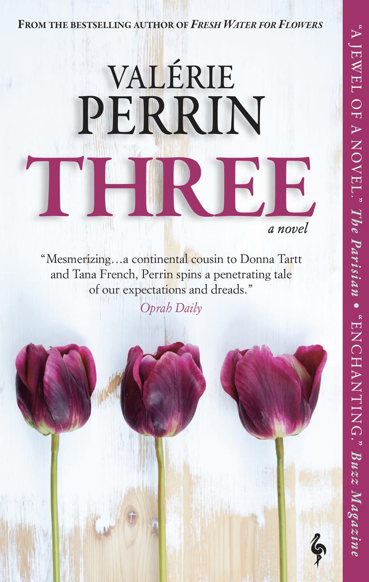 3 by Valerie Perrin - McNally Robinson Booksellers