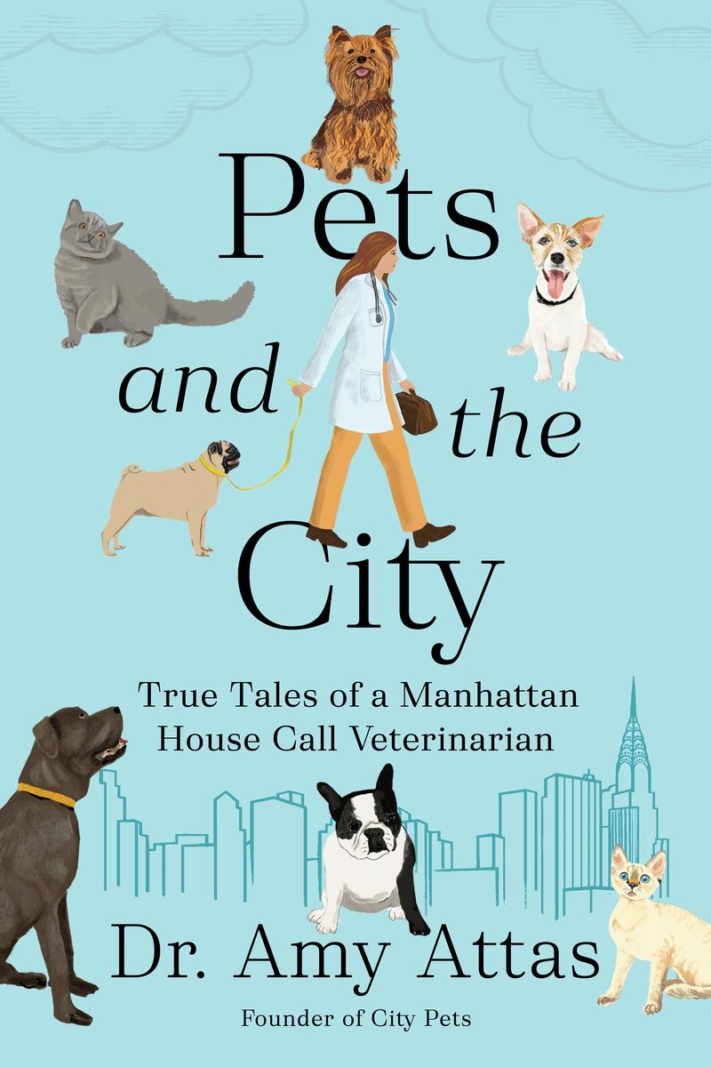Pet Store Pet City Online Pets And The City By Amy Attas McNally