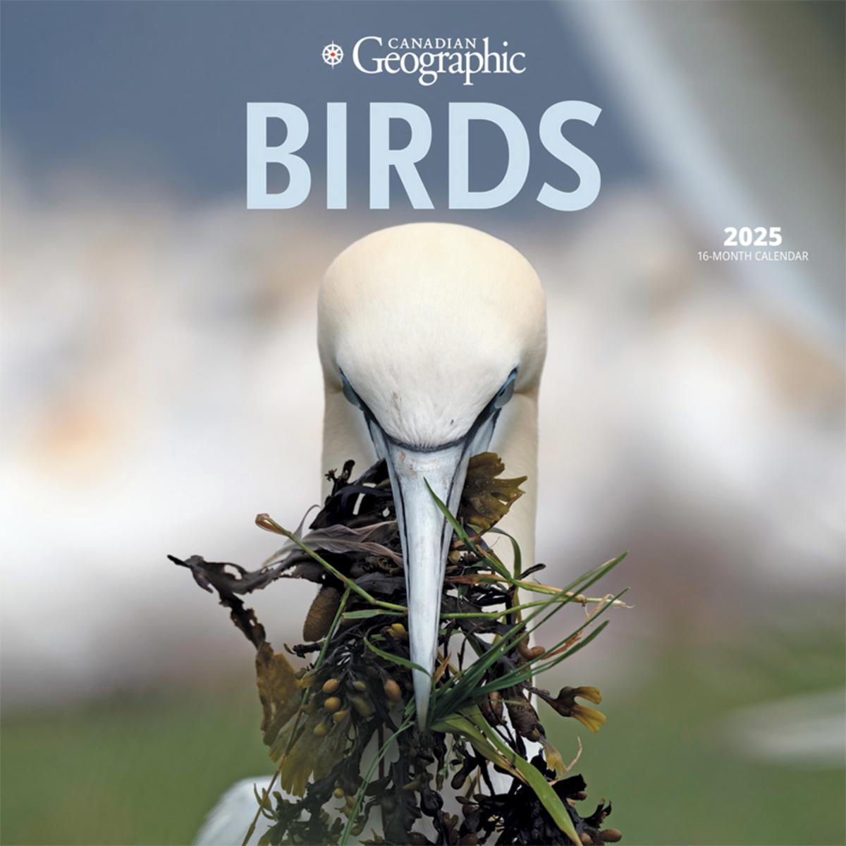 Birds 2025 Wall by Canadian Geographic McNally Robinson Booksellers