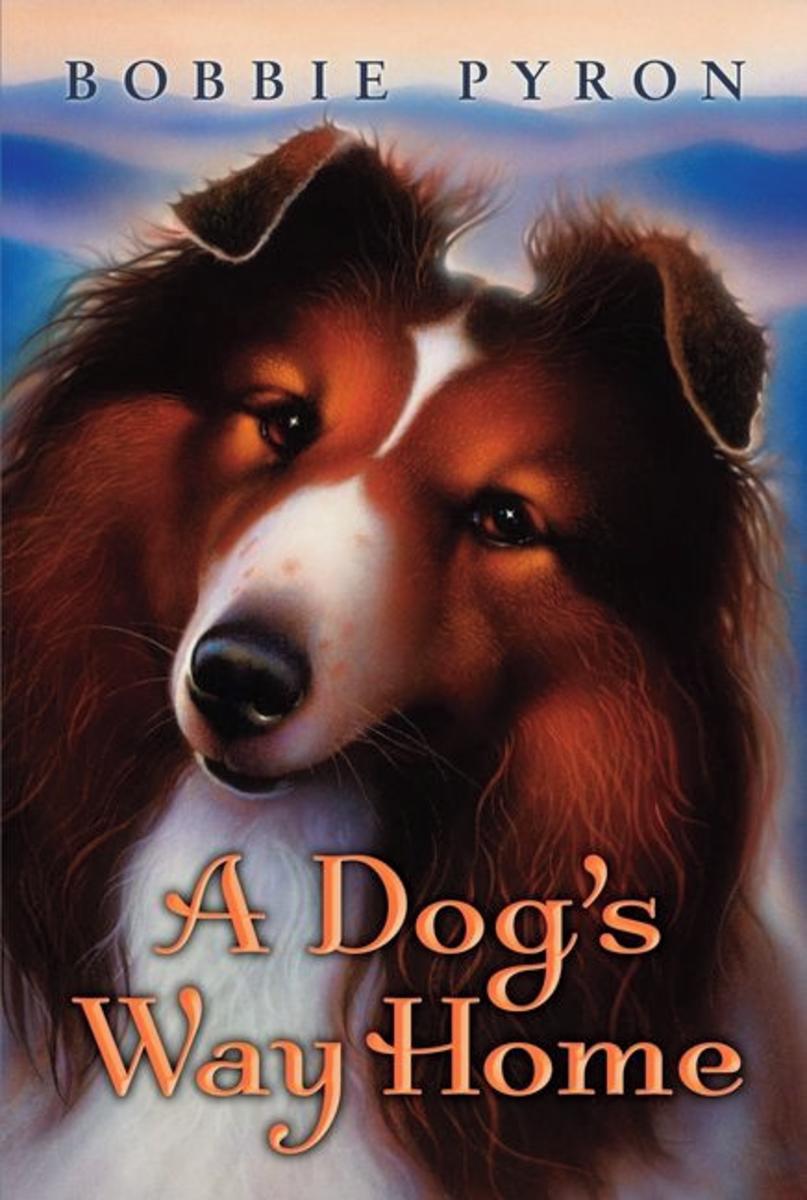 A Dog's Way Home by Bobbie Pyron - McNally Robinson Booksellers