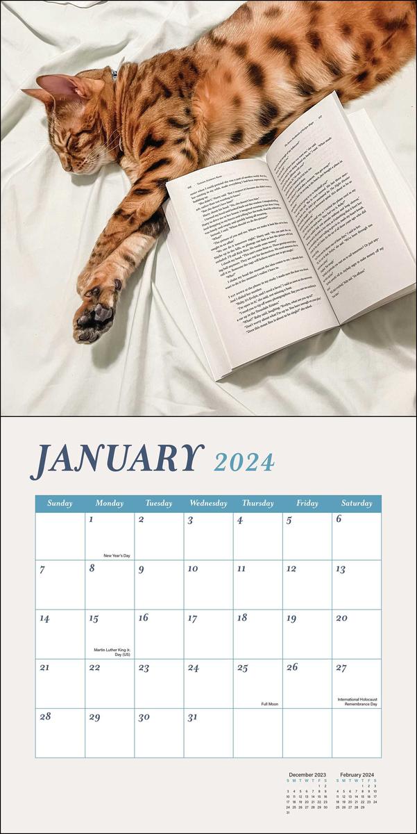 Bolen Books  2024 Cats & Books Wall Calendar