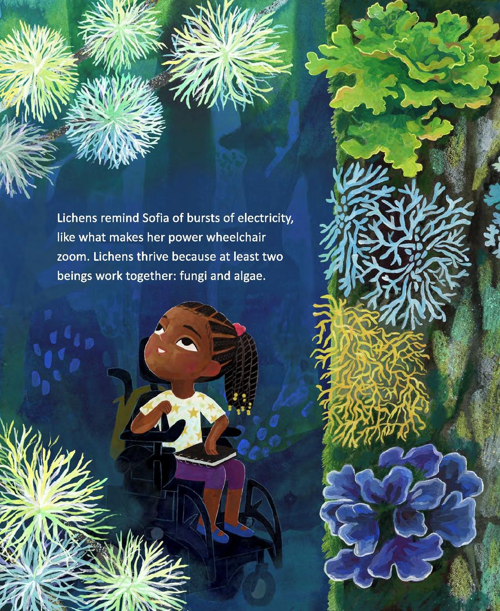 Together, a Forest by Roz MacLean | School House Teaching Supplies
