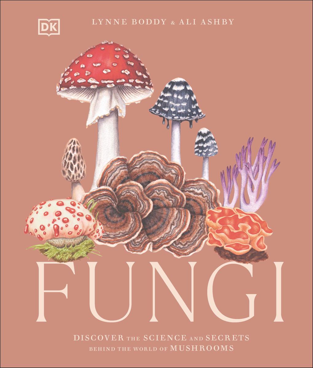 Fungi by Lynne Boddy, Ali Ashby | Ben McNally Books