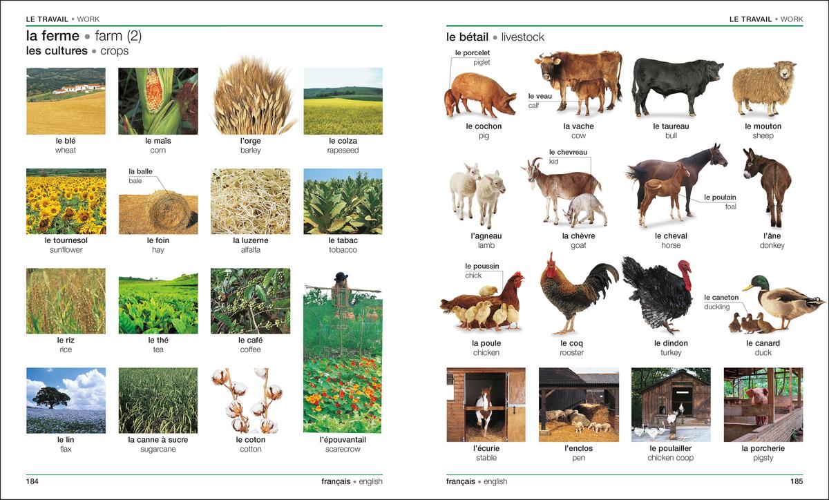 French - English Bilingual Visual Dictionary by Dk | Black Bond Books