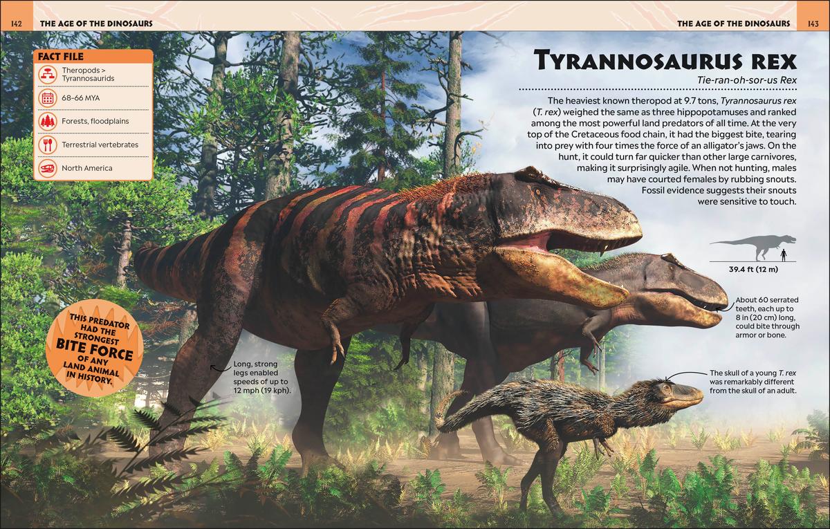 Dinosaurs: A Visual Encyclopedia - A2Z Science & Learning