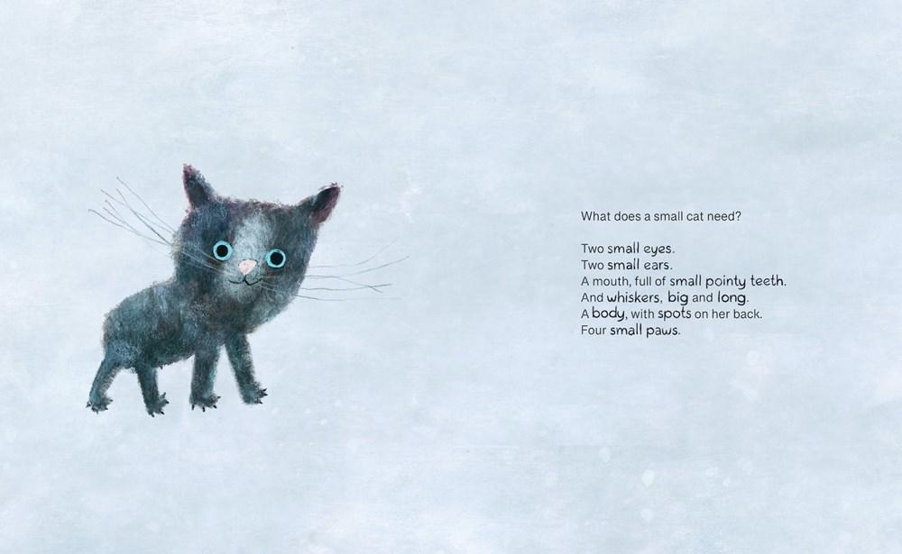 What a Small Cat Needs by Natalia Shaloshvili, Lena Traer | Zenith