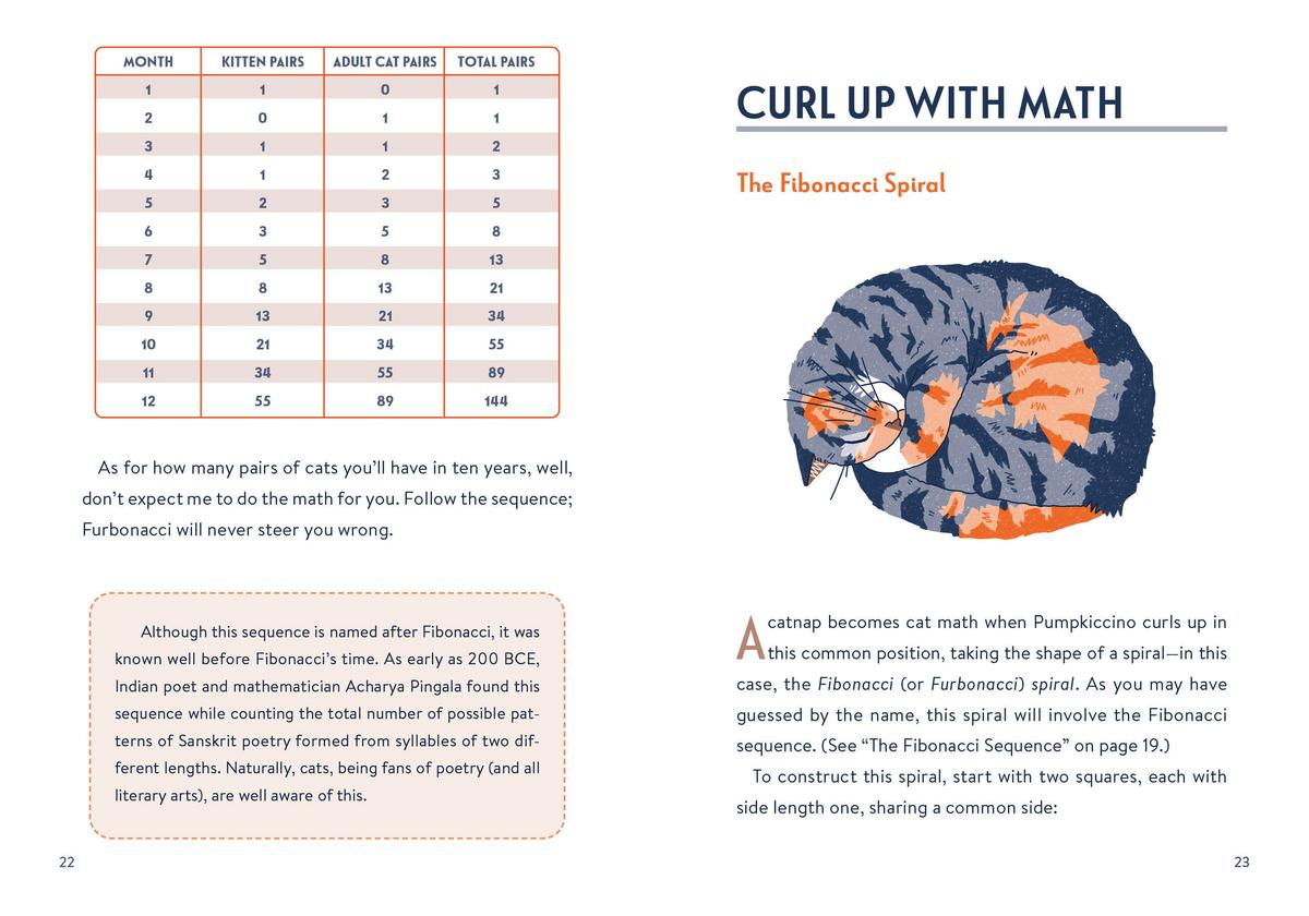 Math Cats by Daniel M Look | Woolf & Company