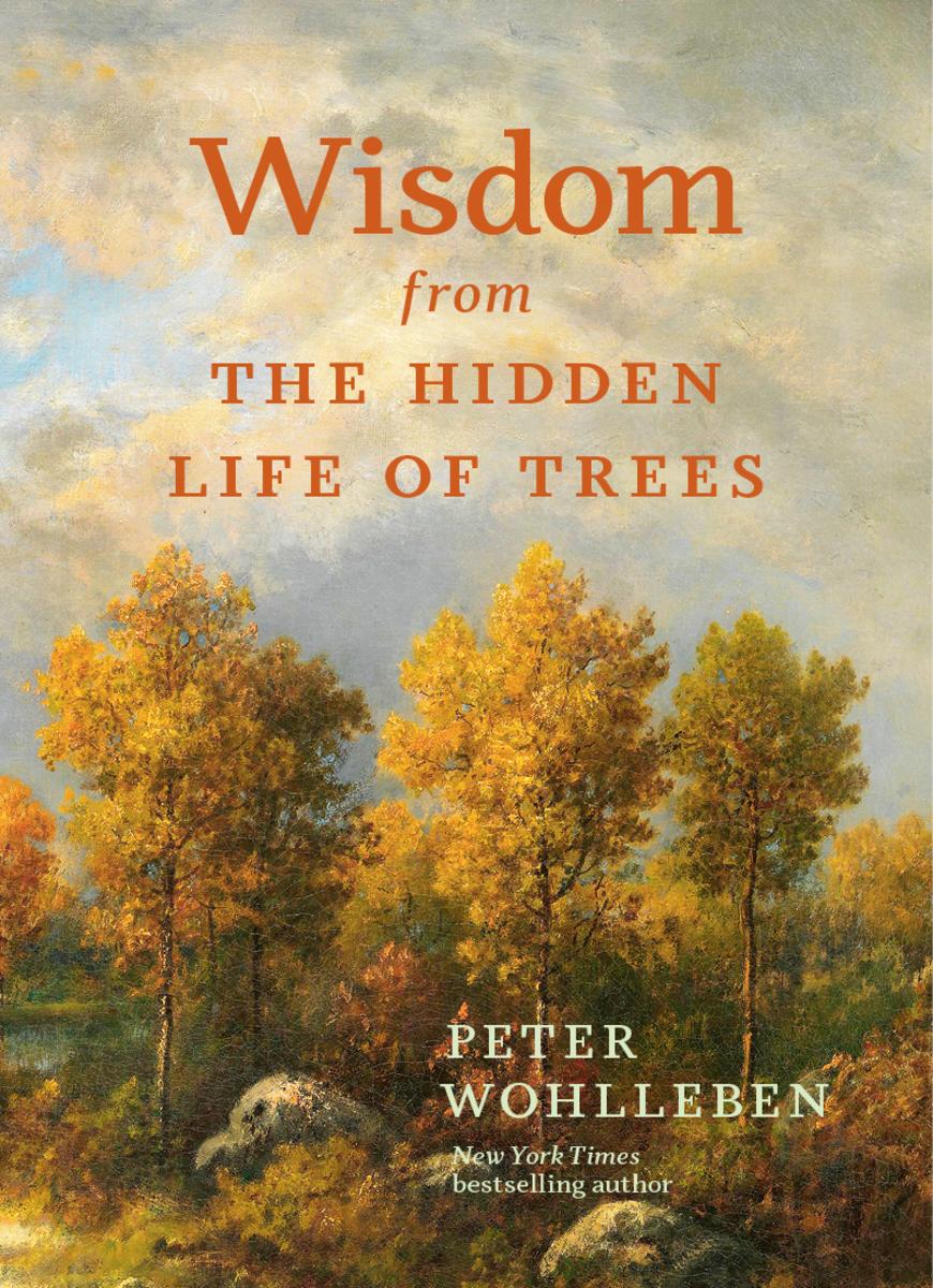Wisdom From The Hidden Life of Trees - 