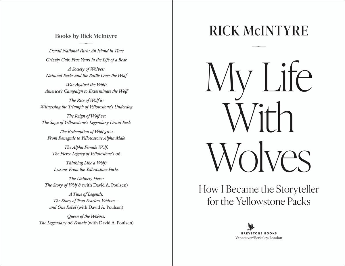 My Life With Wolves by Rick McIntyre | Munro's Books