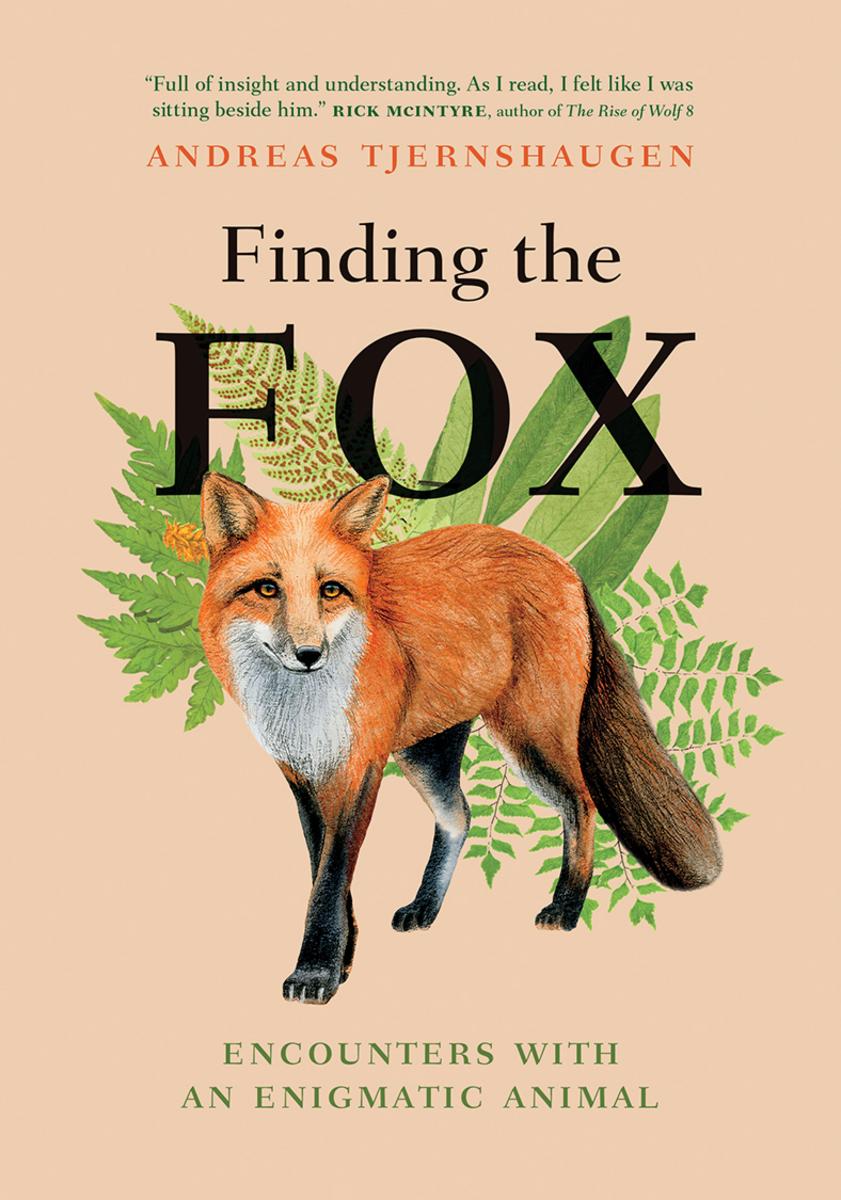 Finding the Fox - Encounters With an Enigmatic Animal