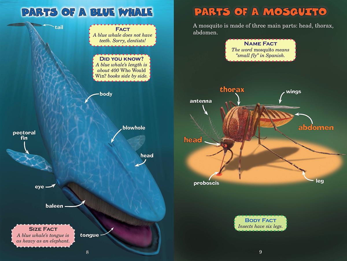 Blue Whale vs. Mosquito (Who Would Win? #29) by Jerry Pallotta