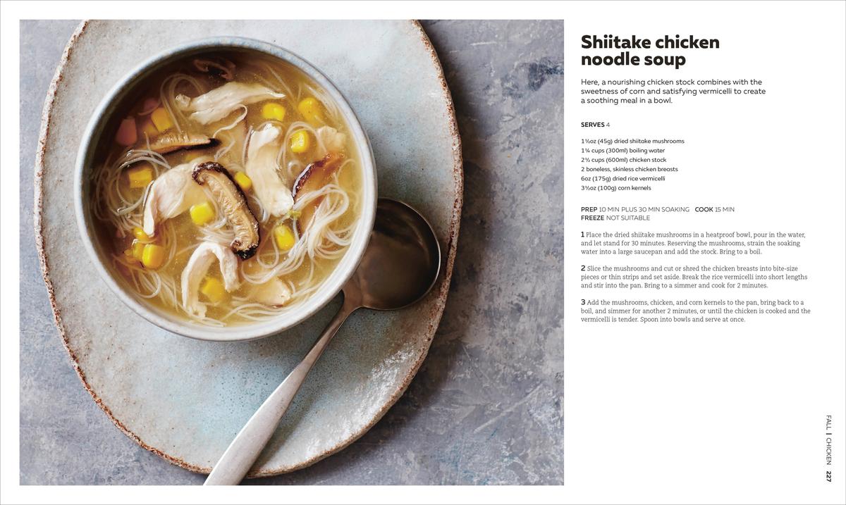The Soup Book by Dk | Avid Reader