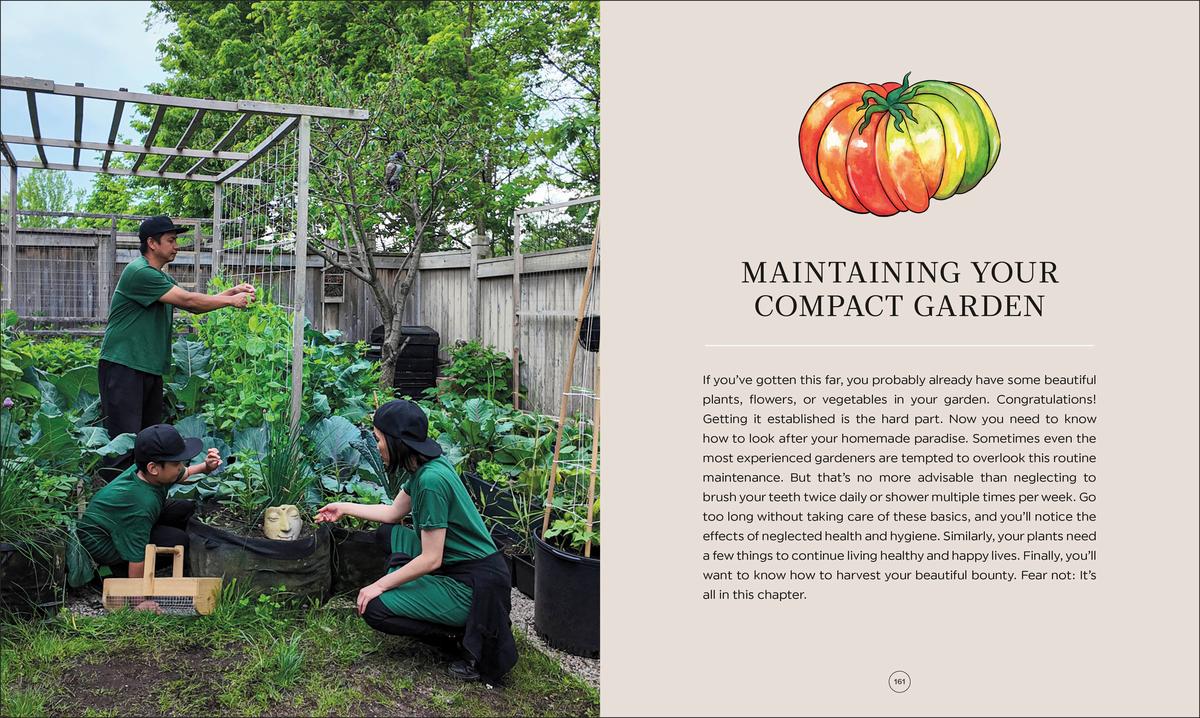 tomoka 庭 the garden 25冊セット The Compact Garden – DK
