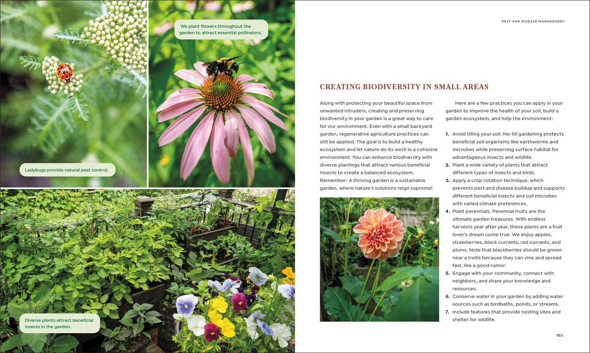 The Compact Garden by Marv Lopez, Char Lopez | Audreys Books