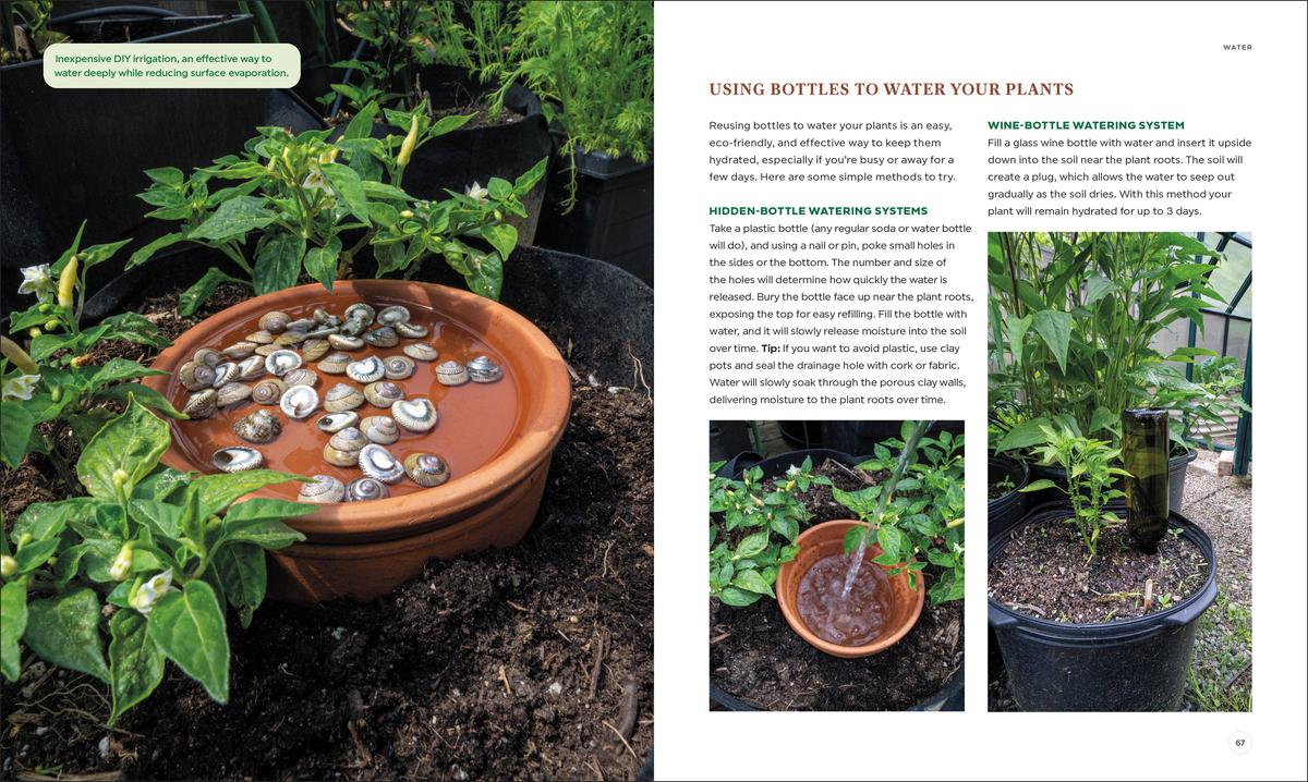 The Compact Garden by Marv Lopez, Char Lopez | The Book & Cover