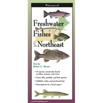 Freshwater Fishes of the Northeast - Folding Guide