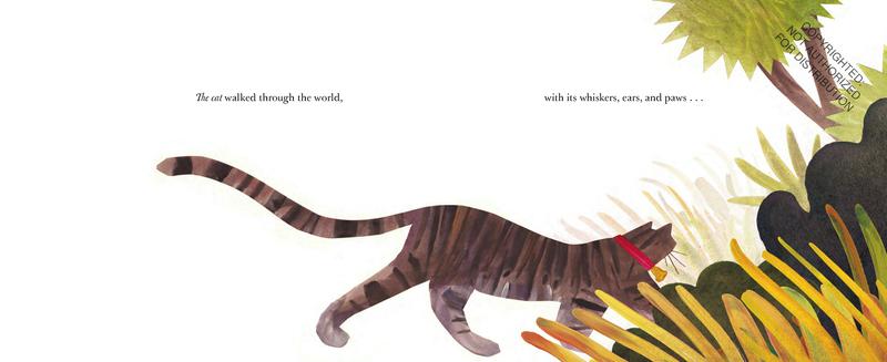 アニメ They All Saw A Cat And Other Feline DVD They All Saw A Cat And Other Feline DVD 【公式通販】