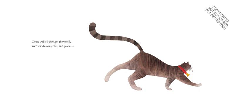 アニメ They All Saw A Cat And Other Feline DVD They All Saw A Cat And Other Feline DVD 【公式通販】