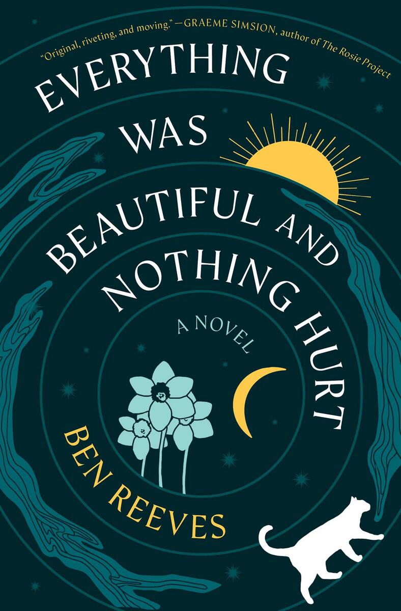 Everything Was Beautiful and Nothing HurtA Novel Ben Reeves  