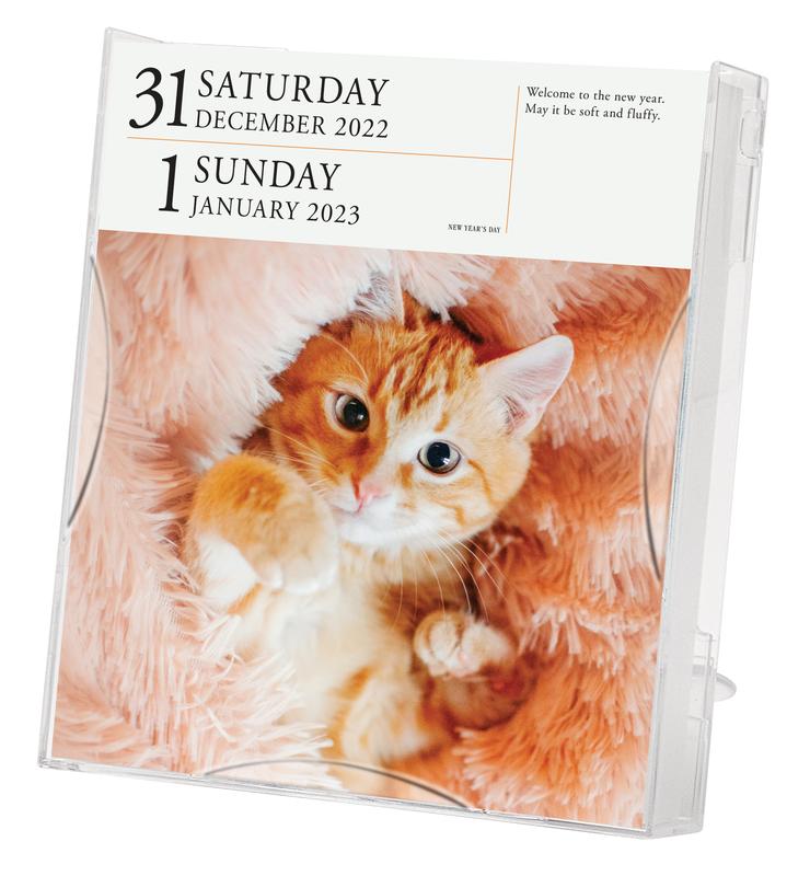 Abraxas Books | Cat Page-A-Day Gallery Calendar 2023