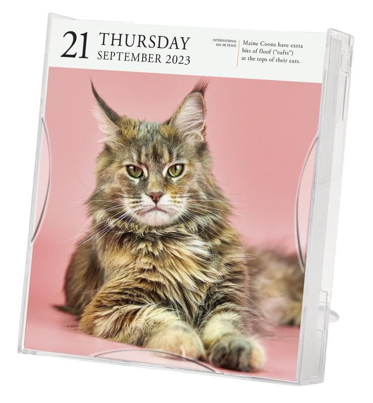 Cat Page-A-Day Gallery Calendar 2023 by Workman Calendars