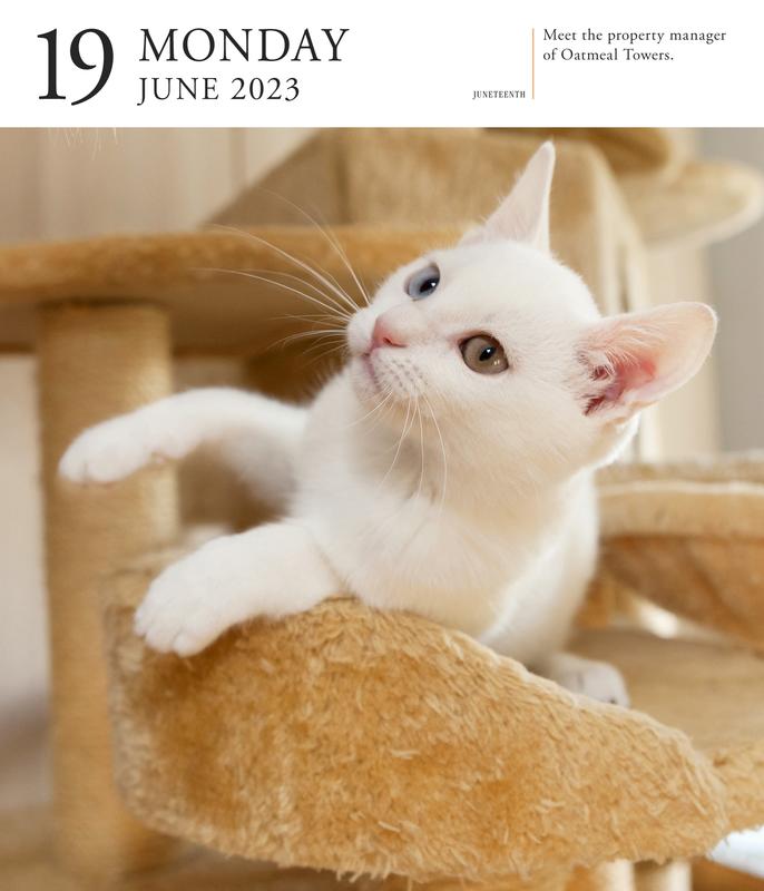 Cat Page-A-Day Gallery Calendar 2023 by Workman Calendars