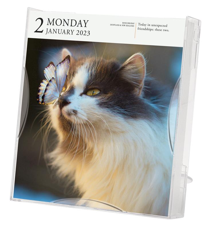 Cat Page-A-Day Gallery Calendar 2023 by Workman Calendars
