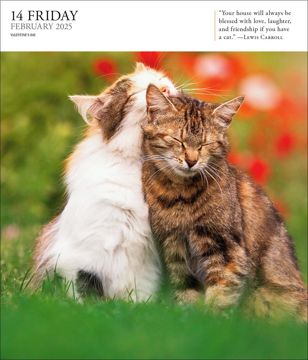 THE CABIN COMPANY カレンダー2023 THE ANIMALS THE CABIN COMPANY カレンダー2023 THE ANIMALS卸売 通販