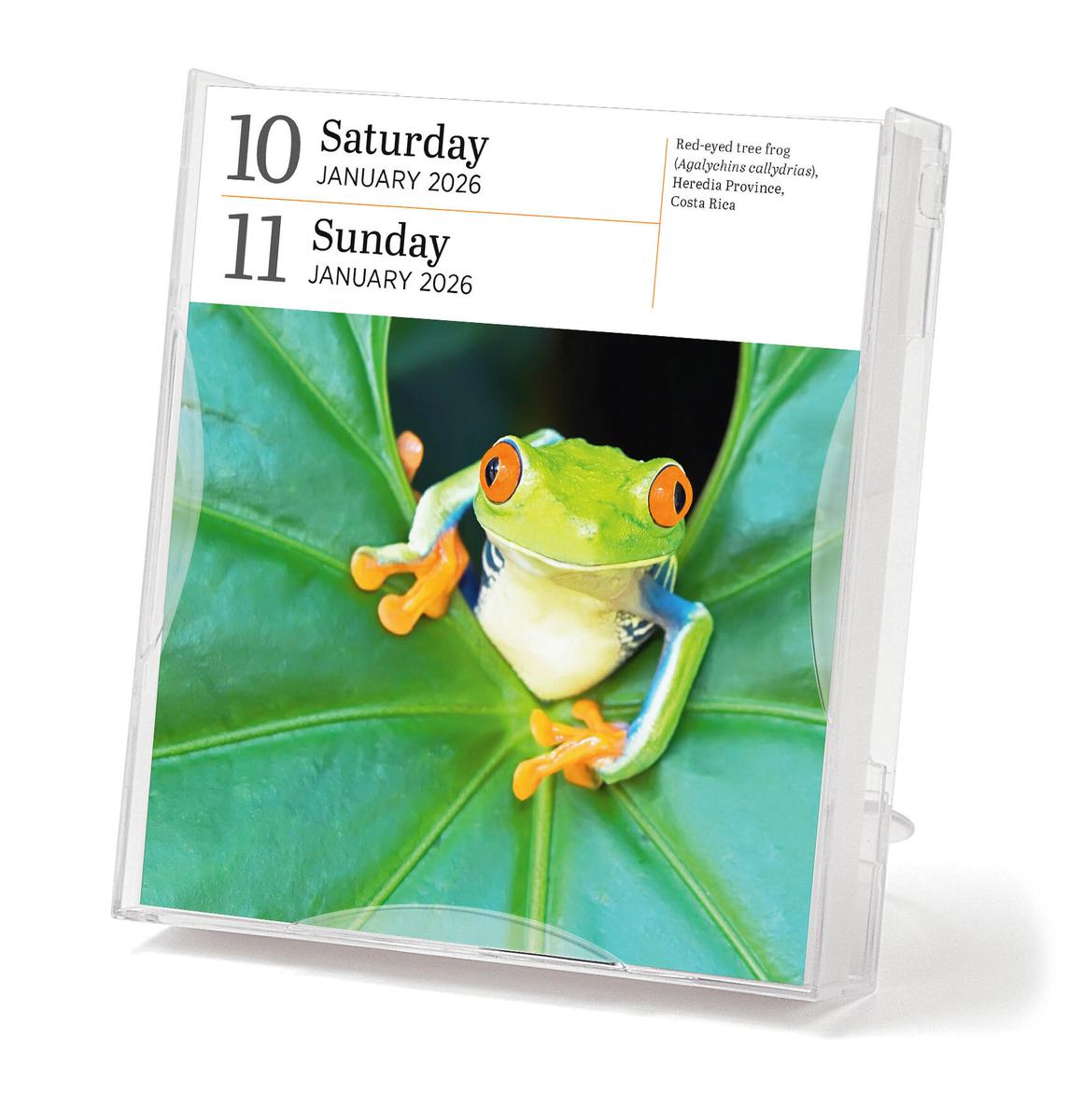 Audubon Nature Page-a-day® Gallery Calendar 2025 Free Audubon Nature Page-A-Day Gallery Calendar Refill Pack 2023 Daily Calendar 2026