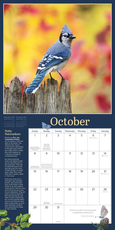 Fundamentals Books & Toys Inc. | Audubon Birds in the Garden Wall Calendar  2023