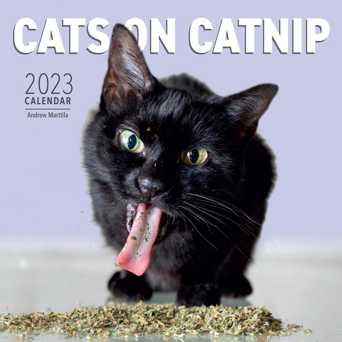 THE CABIN COMPANY カレンダー2023 THE ANIMALS Galleria Wall Calendar 2023 Kittens Calendar – Armand