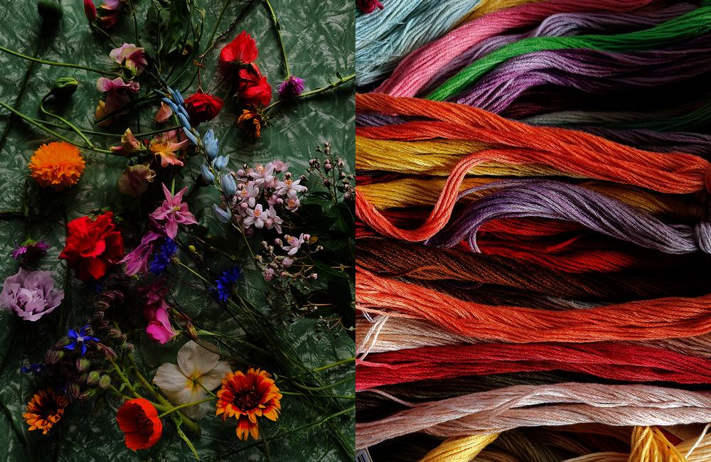 The Untamed Thread by Fleur Woods