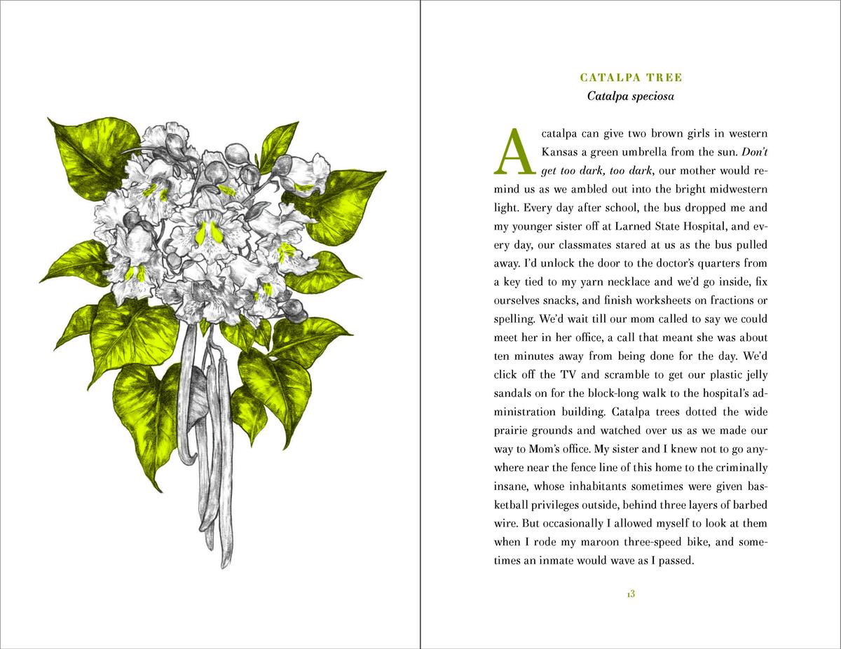 World of Wonders by Aimee Nezhukumatathil, Fumi Nakamura | Avid Reader