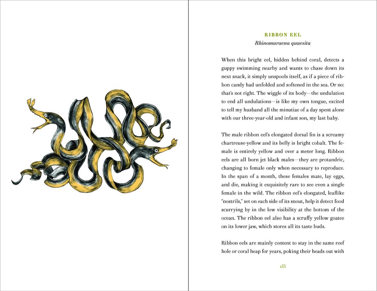 World of Wonders by Aimee Nezhukumatathil, Fumi Nakamura | Avid Reader