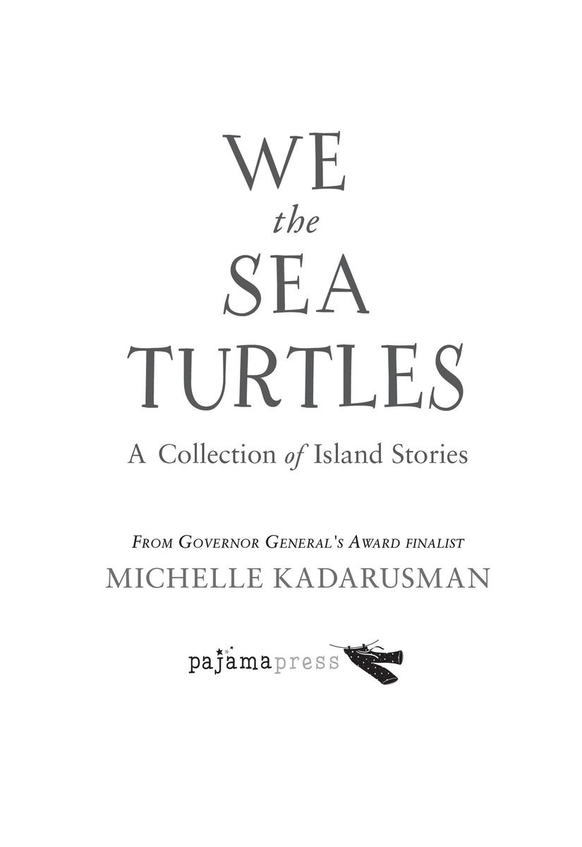 We the Sea Turtles - by Michelle Kadarusman (Hardcover)