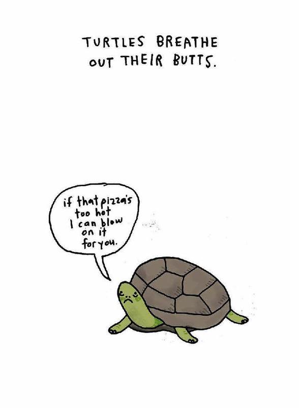 Sad Animal Facts by Brooke Barker | Books Are Magic