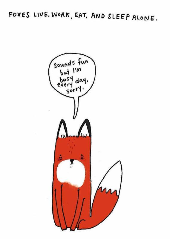 Sad Animal Facts by Brooke Barker | Books Are Magic