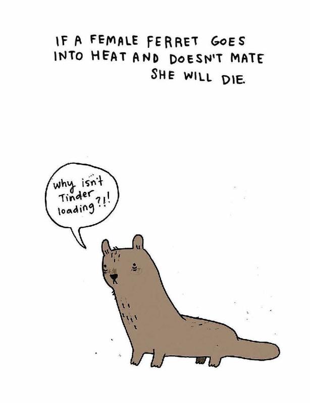 Sad Animal Facts by Brooke Barker | Books Are Magic