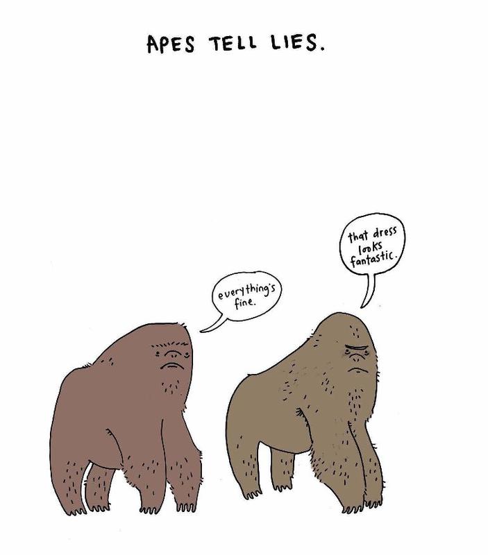 Sad Animal Facts by Brooke Barker | Books Are Magic