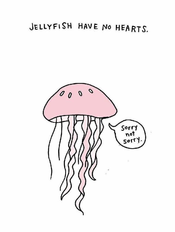Sad Animal Facts by Brooke Barker | Books Are Magic