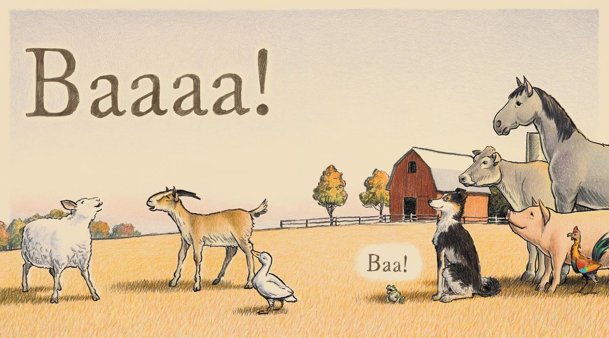 Zip Zap Wickety Wack by Matthew Diffee | Grass Roots Books & Music