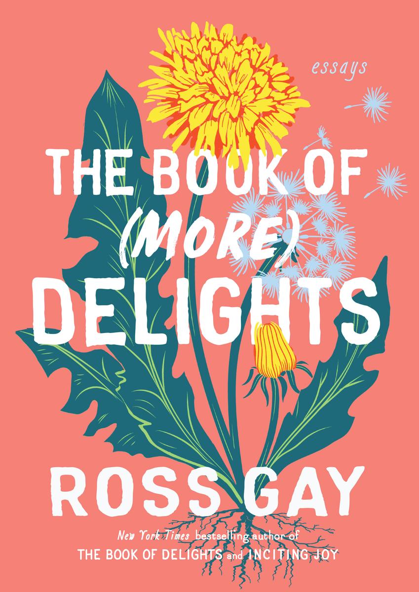 The Book of (More) Delights - Essays