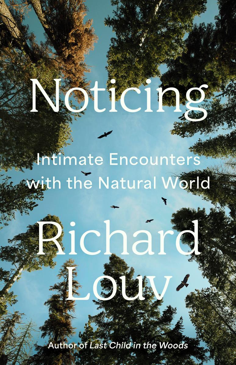 Noticing: Intimate Encounters With the Natural World